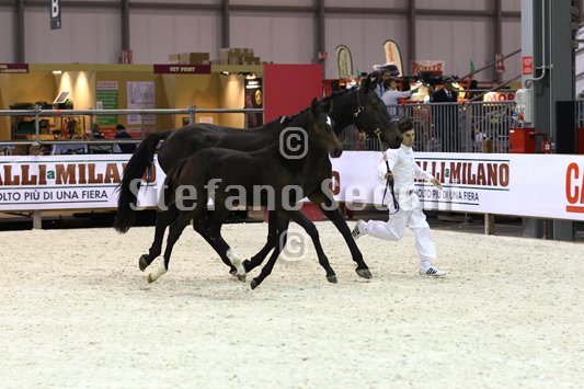 PRINCESS LIESA_MILANO_2010_SS3_7441.jpg